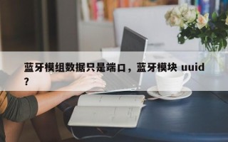 蓝牙模组数据只是端口，蓝牙模块 uuid？