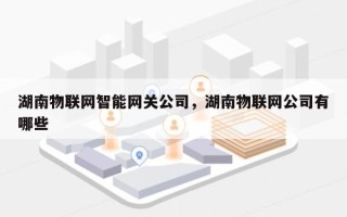 湖南物联网智能网关公司，湖南物联网公司有哪些