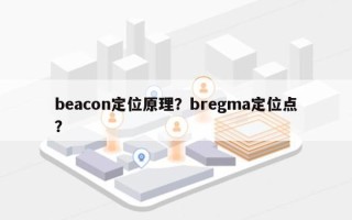 beacon定位原理？bregma定位点？