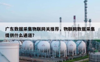 广东数据采集物联网关推荐，物联网数据采集提供什么通道？