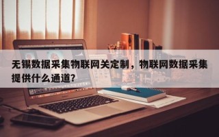 无锡数据采集物联网关定制，物联网数据采集提供什么通道？