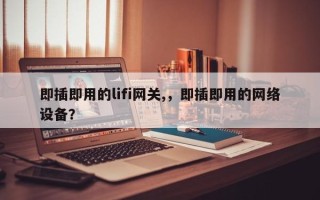 即插即用的lifi网关,，即插即用的网络设备？