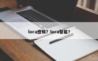 lora感知？lora智能？