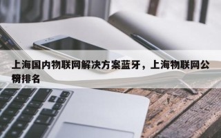上海国内物联网解决方案蓝牙，上海物联网公司排名榜