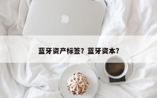 蓝牙资产标签？蓝牙资本？