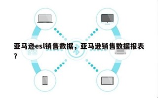 亚马逊esl销售数据，亚马逊销售数据报表？