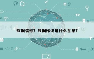 数据信标？数据标识是什么意思？