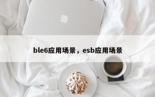 ble6应用场景，esb应用场景