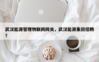 武汉能源管理物联网网关，武汉能源集团招聘？