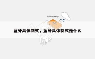 蓝牙具体制式，蓝牙具体制式是什么