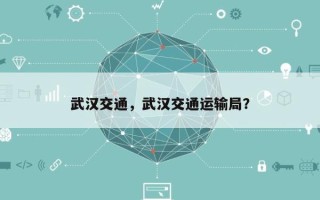 武汉交通，武汉交通运输局？