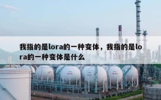 我指的是lora的一种变体，我指的是lora的一种变体是什么