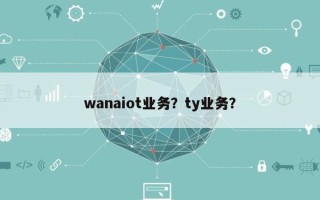 wanaiot业务？ty业务？