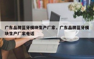 广东品牌蓝牙模块生产厂家，广东品牌蓝牙模块生产厂家电话