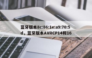 蓝牙版本8c:86:1e:a9:70:5d，蓝牙版本AVRCP14和16