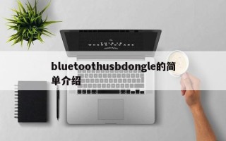 bluetoothusbdongle的简单介绍