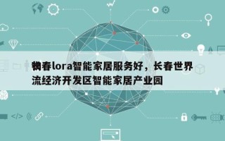 长春lora智能家居服务好，长春世界
物流经济开发区智能家居产业园