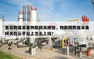 青岛数据采集物联网关规格，物联网数据采集网关在云平台上怎么上线？