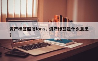 资产标签超薄lora，资产标签是什么意思？