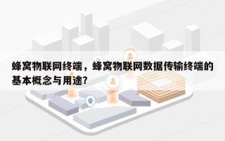蜂窝物联网终端，蜂窝物联网数据传输终端的基本概念与用途？