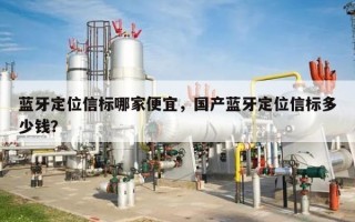 蓝牙定位信标哪家便宜，国产蓝牙定位信标多少钱？