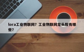 lora工业物联网？工业物联网龙头股有哪些？