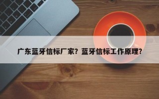 广东蓝牙信标厂家？蓝牙信标工作原理？