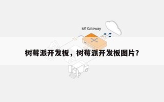 树莓派开发板，树莓派开发板图片？