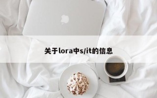 关于lora中s/it的信息