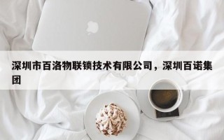 深圳市百洛物联锁技术有限公司，深圳百诺集团