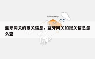 蓝牙网关的报关信息，蓝牙网关的报关信息怎么查
