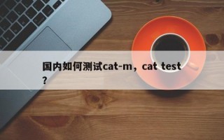 国内如何测试cat-m，cat test？