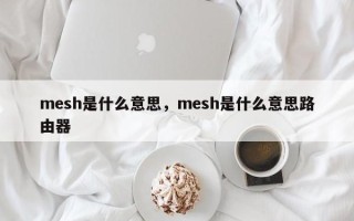 mesh是什么意思，mesh是什么意思路由器