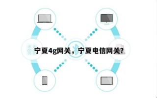 宁夏4g网关，宁夏电信网关？
