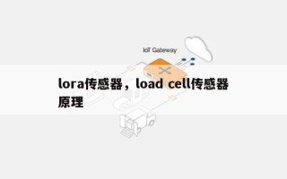 lora传感器，load cell传感器原理
