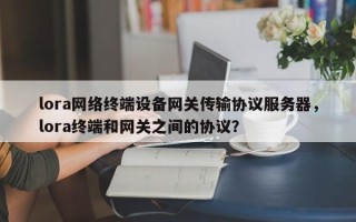 lora网络终端设备网关传输协议服务器，lora终端和网关之间的协议？