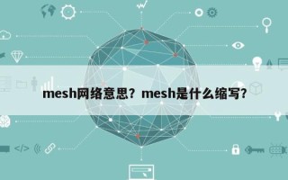 mesh网络意思？mesh是什么缩写？