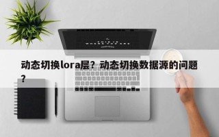 动态切换lora层？动态切换数据源的问题？