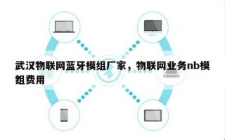 武汉物联网蓝牙模组厂家，物联网业务nb模组费用？