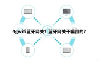 4gwifi蓝牙网关？蓝牙网关干嘛用的？