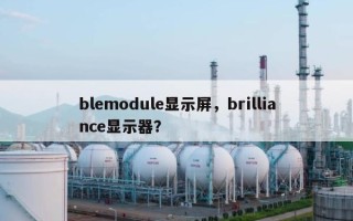blemodule显示屏，brilliance显示器？