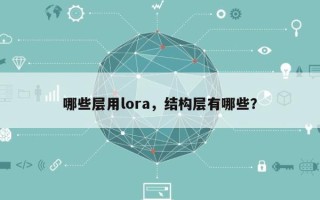 哪些层用lora，结构层有哪些？