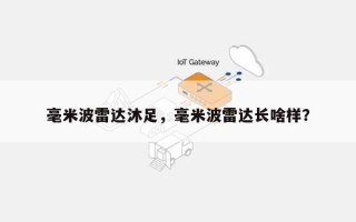 毫米波雷达沐足，毫米波雷达长啥样？