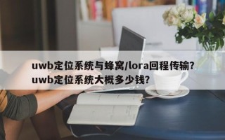 uwb定位系统与蜂窝/lora回程传输？uwb定位系统大概多少钱？