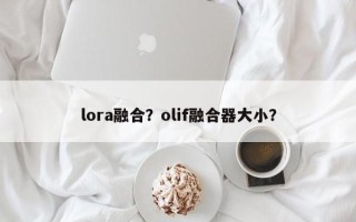 lora融合？olif融合器大小？