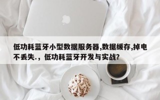 低功耗蓝牙小型数据服务器,数据缓存,掉电不丢失.，低功耗蓝牙开发与实战？