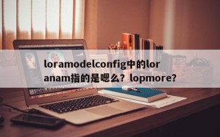 loramodelconfig中的loranam指的是嗯么？lopmore？