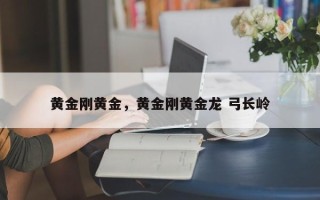 黄金刚黄金，黄金刚黄金龙 弓长岭