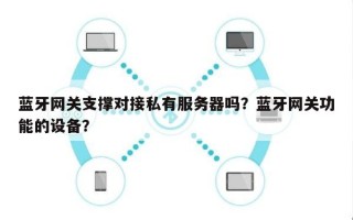 蓝牙网关支撑对接私有服务器吗？蓝牙网关功能的设备？