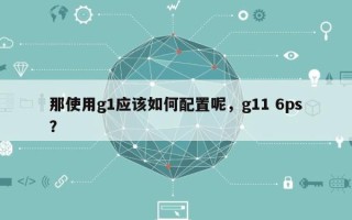 那使用g1应该如何配置呢，g11 6ps？